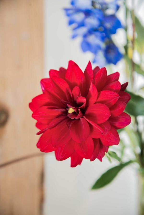 Bed En Breakfast Puur8A Duizel エクステリア 写真