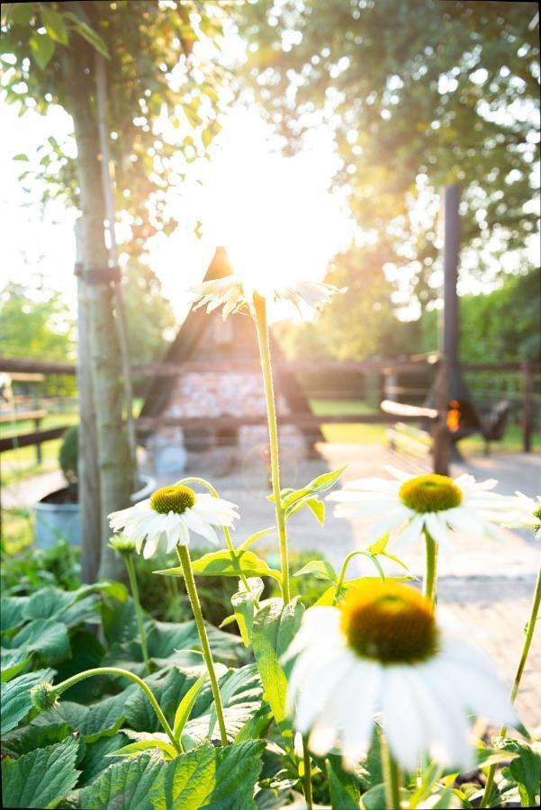 Bed En Breakfast Puur8A Duizel エクステリア 写真
