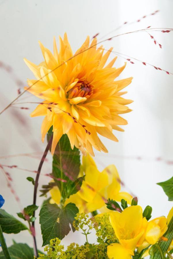 Bed En Breakfast Puur8A Duizel エクステリア 写真